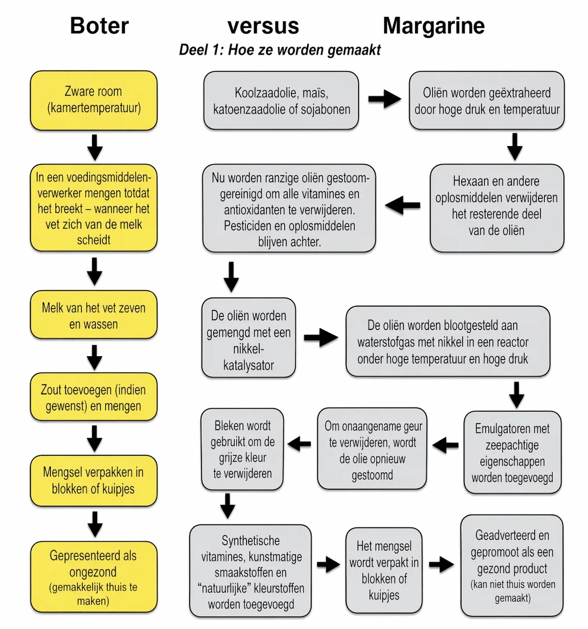 Schema dat het maakproces van roomboter en margarine naast elkaar laat zien: roomboter via weinig stappen van zware room naar eindproduct, margarine via een lang chemisch proces met hexaan, nikkelkatalysator, bleken en toevoeging van synthetische vitamines en smaakstoffen.