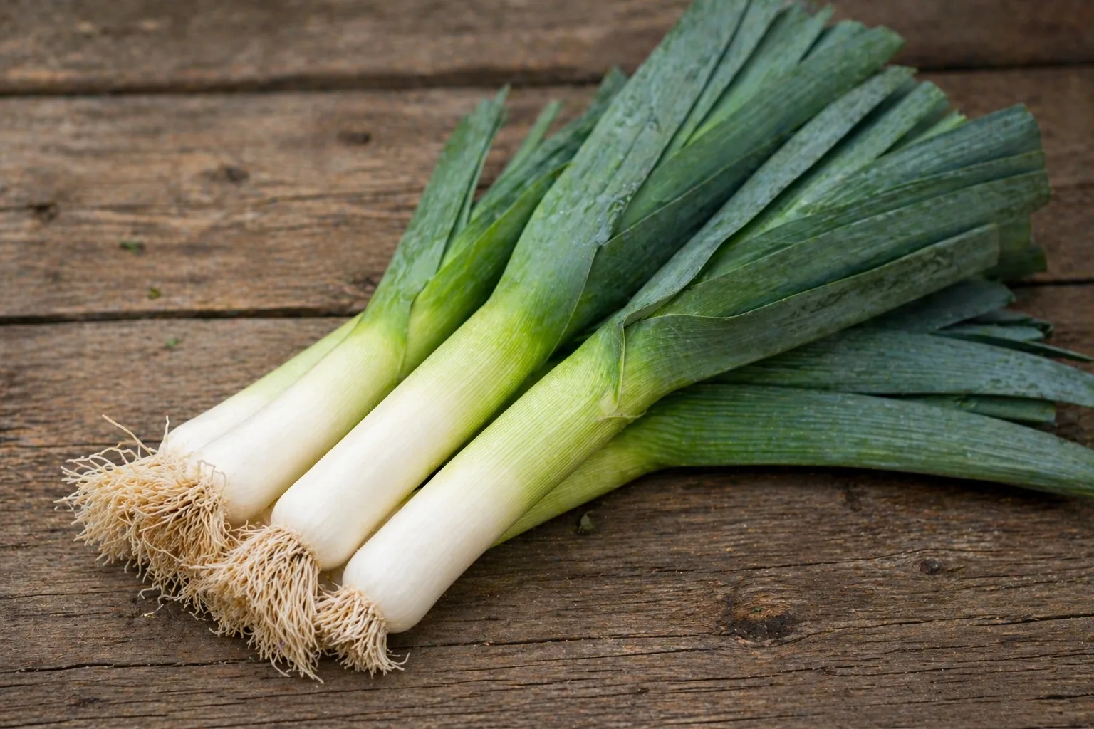 Foto uit het receptenboek van verse prei